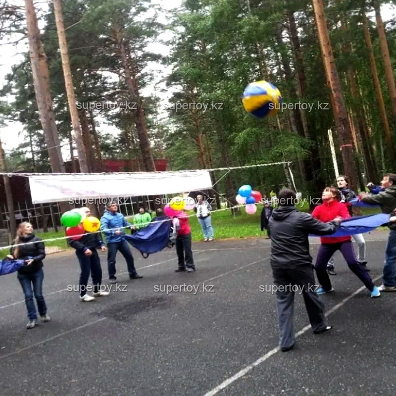 Мобильный волейбол