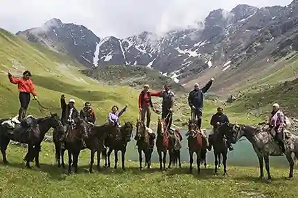 В одной упряжке